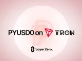 عملة باي بال المستقرة PYUSD تتوسع لتشمل 9 شبكات بلوكتشين جديدة عبر بروتوكول LayerZero