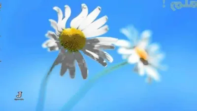 إزالة كلمة المرور لويندوز 8