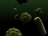تطبيق ixplain GCSE Biology