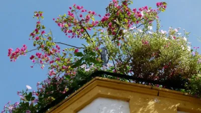 كيف تحافظ حدائق السطح على الطاقة؟