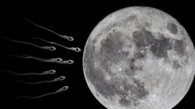 خطط لإرسال عينات من الحيوانات المنوية والبويضات لمخلوقات الأرض إلى القمر