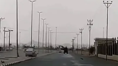 المرور يضبط 3 سائقين لمخالفات التفحيط وعكس السير وعدم مسك عجلة القيادة