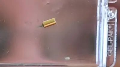 تطوير روبوتات صغيرة تتحرك فى رحلة إلى أدمغة البشر لعلاج الأمراض النادرة