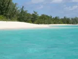 اقتصاد تيمور الشرقية