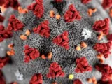 الروس يبتكرون تكنولوجيا للكشف عن 3 أنواع فرعية لـأوميكرون