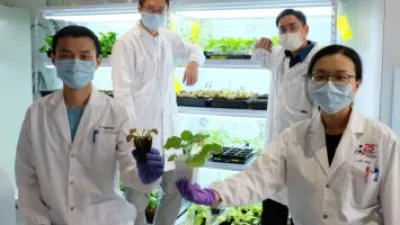 باحثون من جامعة سنغافورية يبتكرون أداة للتواصل مع النباتات.. اعرف الحكاية