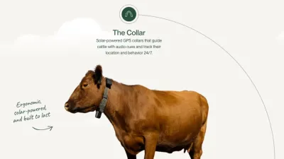 تتبع الماشية عبر Starlink: أطواق Halter الفضائية تقضي على مشكلة انقطاع التغطية
