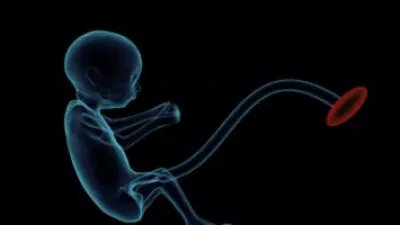 علماء صينيون يبتكرون رحما صناعيا ومربية ترعى الأجنة وتغنى المرأة عن الحمل